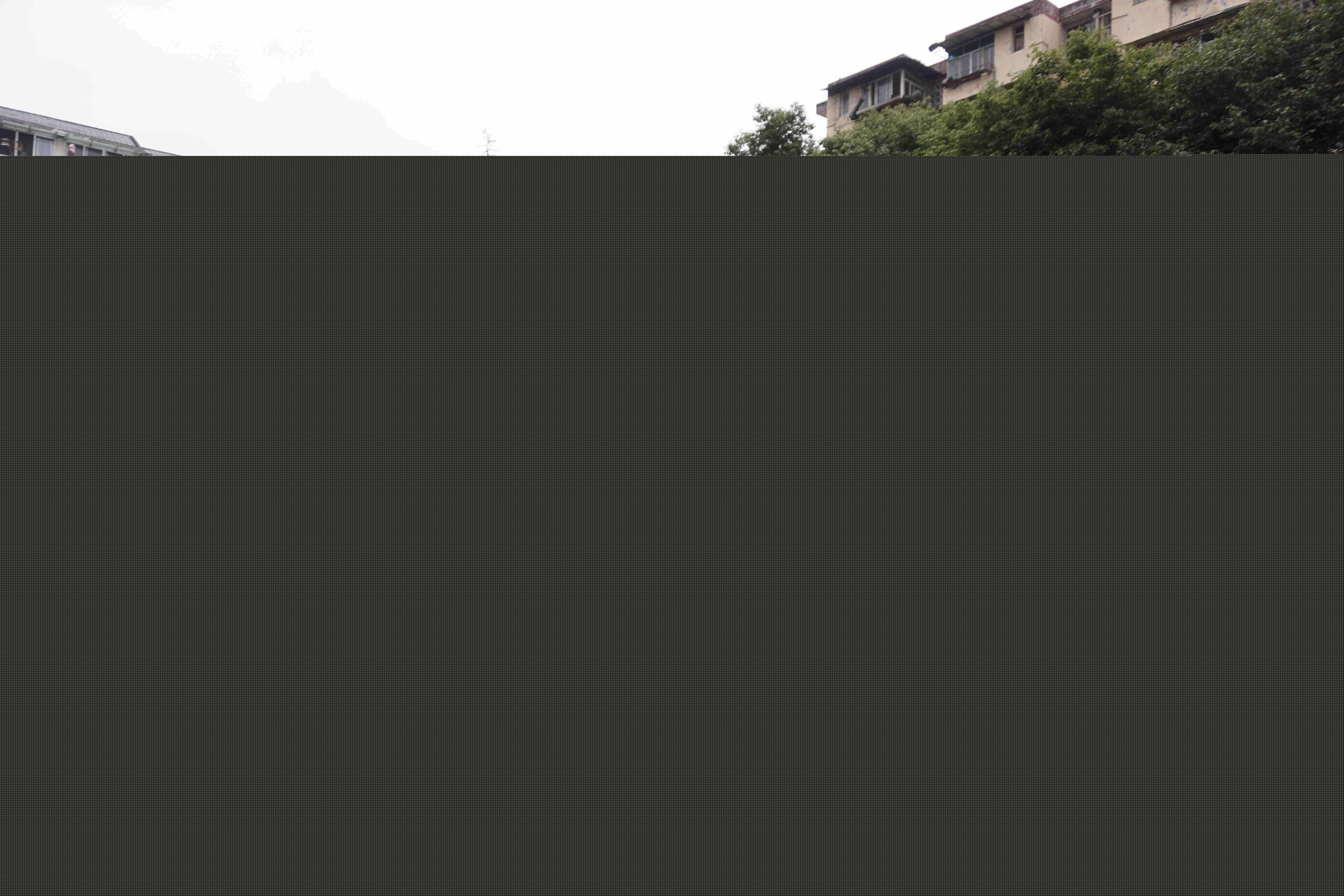 基地建设管理处（诚佳馨实业公司）开展“迎新春”活动